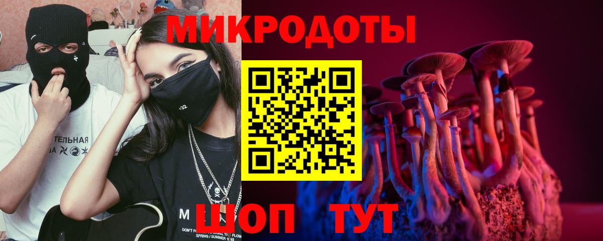 Калуга  Псилоцибиновые грибы мицелий  Вход с VPN  купить наркотик  Псилоцибиновые грибы GOLDEN TEACHER 