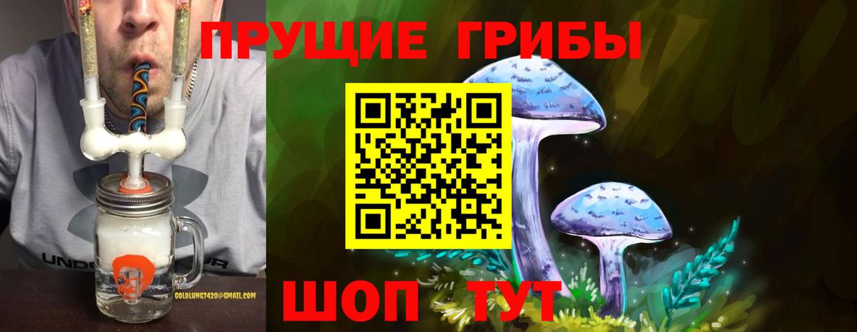 Галлюциногенные грибы прущие грибы Калуга